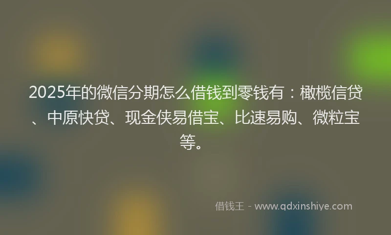 2025年的微信分期怎么借钱到零钱有：橄榄信贷、中原快贷、现金侠易借宝、比速易购、微粒宝等。