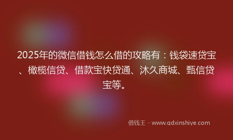 2025年的微信借钱怎么借的攻略有：钱袋速贷宝、橄榄信贷、借款宝快贷通、沐久商城、甄信贷宝等。