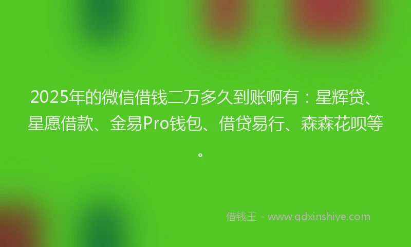 2025年的微信借钱二万多久到账啊有：星辉贷、星愿借款、金易Pro钱包、借贷易行、森森花呗等。