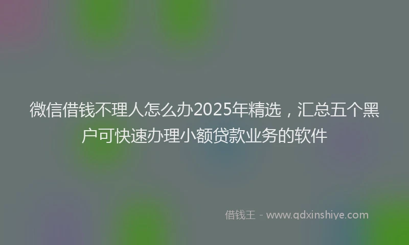 微信借钱不理人怎么办2025年精选，汇总五个黑户可快速办理小额贷款业务的软件