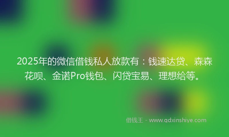 2025年的微信借钱私人放款有：钱速达贷、森森花呗、金诺Pro钱包、闪贷宝易、理想给等。