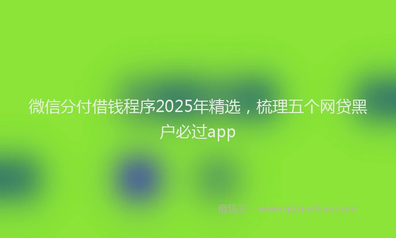 微信分付借钱程序2025年精选，梳理五个网贷黑户必过app