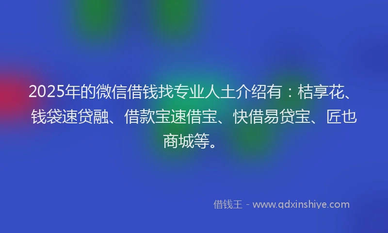 2025年的微信借钱找专业人土介绍有：桔享花、钱袋速贷融、借款宝速借宝、快借易贷宝、匠也商城等。