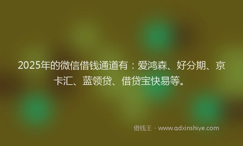 2025年的微信借钱通道有：爱鸿森、好分期、京卡汇、蓝领贷、借贷宝快易等。