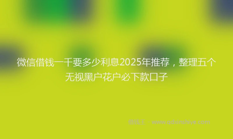 微信借钱一千要多少利息2025年推荐，整理五个无视黑户花户必下款口子