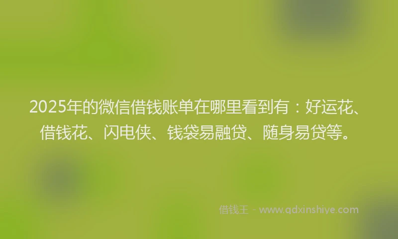 2025年的微信借钱账单在哪里看到有：好运花、借钱花、闪电侠、钱袋易融贷、随身易贷等。