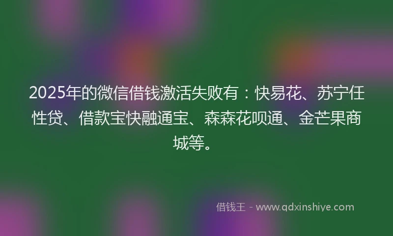 2025年的微信借钱激活失败有：快易花、苏宁任性贷、借款宝快融通宝、森森花呗通、金芒果商城等。