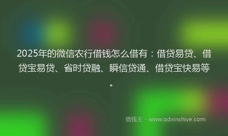 2025年的微信农行借钱怎么借有：借贷易贷、借贷宝易贷、省时贷融、瞬信贷通、借贷宝快易等。