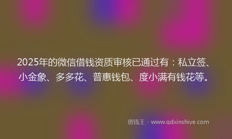 2025年的微信借钱资质审核已通过有：私立签、小金象、多多花、普惠钱包、度小满有钱花等。