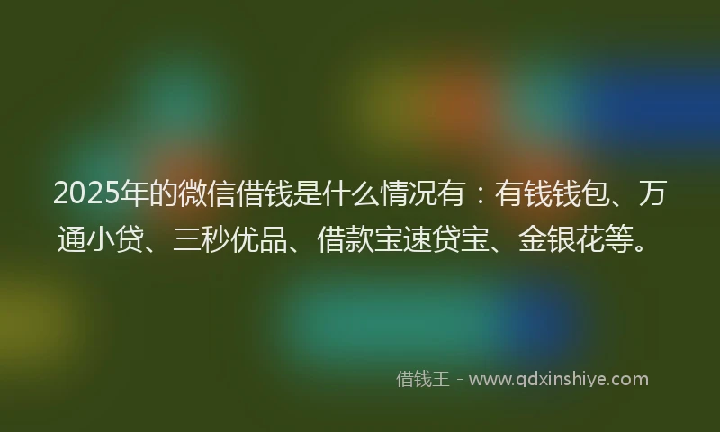 2025年的微信借钱是什么情况有：有钱钱包、万通小贷、三秒优品、借款宝速贷宝、金银花等。