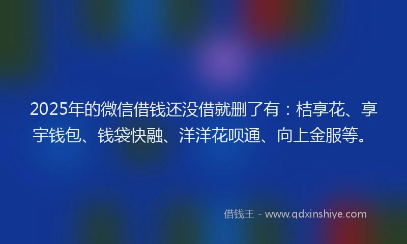 2025年的微信借钱还没借就删了有：桔享花、享宇钱包、钱袋快融、洋洋花呗通、向上金服等。