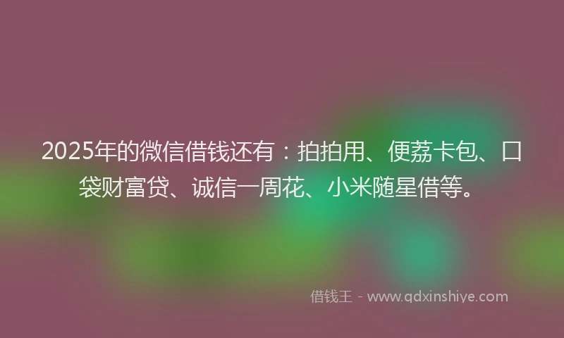 2025年的微信借钱还有：拍拍用、便荔卡包、口袋财富贷、诚信一周花、小米随星借等。