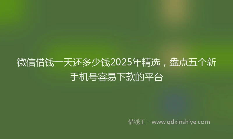 微信借钱一天还多少钱2025年精选，盘点五个新手机号容易下款的平台