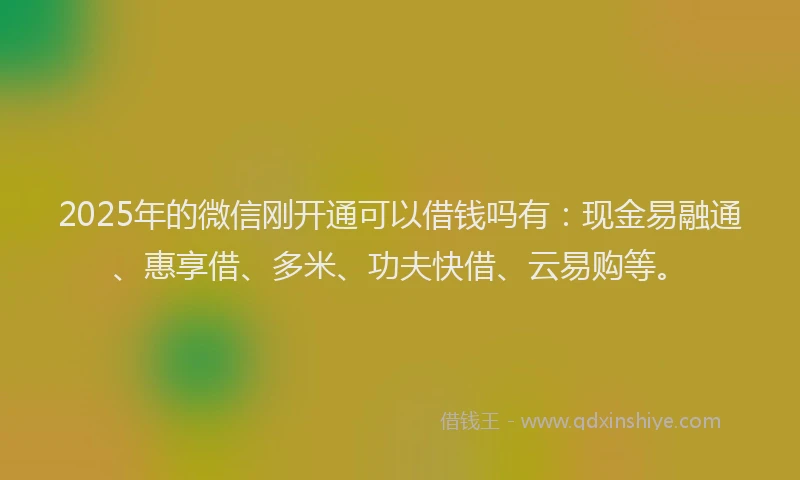 2025年的微信刚开通可以借钱吗有：现金易融通、惠享借、多米、功夫快借、云易购等。