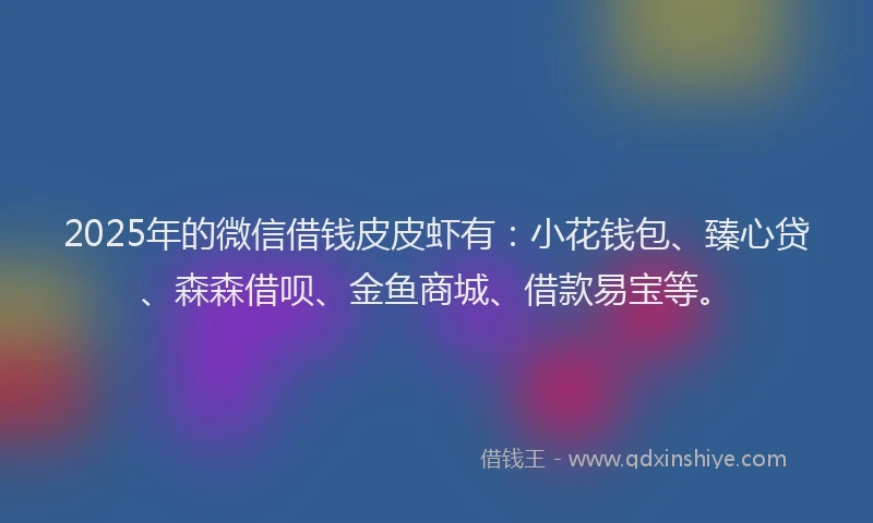 2025年的微信借钱皮皮虾有：小花钱包、臻心贷、森森借呗、金鱼商城、借款易宝等。