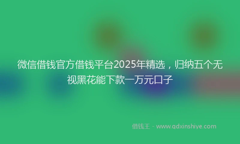 微信借钱官方借钱平台2025年精选，归纳五个无视黑花能下款一万元口子