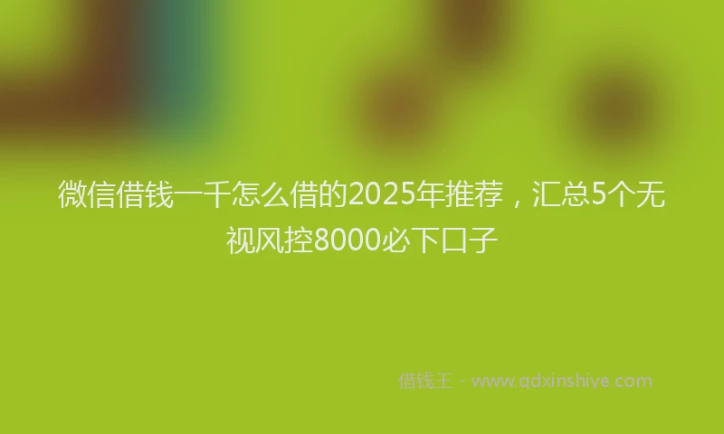微信借钱一千怎么借的2025年推荐，汇总5个无视风控8000必下口子