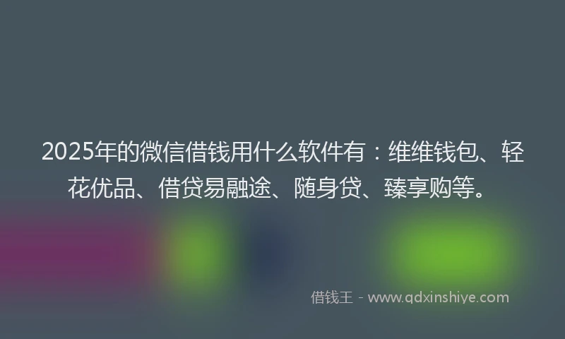 2025年的微信借钱用什么软件有：维维钱包、轻花优品、借贷易融途、随身贷、臻享购等。