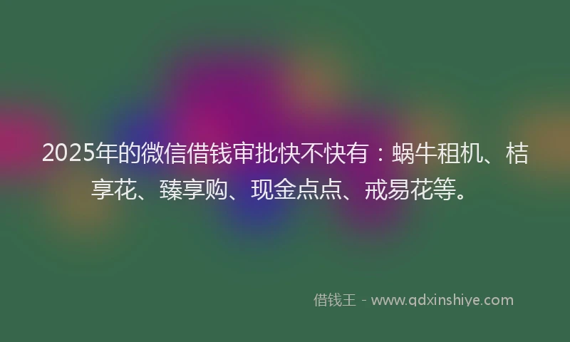 2025年的微信借钱审批快不快有：蜗牛租机、桔享花、臻享购、现金点点、戒易花等。