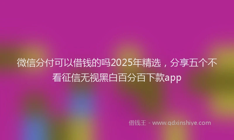微信分付可以借钱的吗2025年精选，分享五个不看征信无视黑白百分百下款app