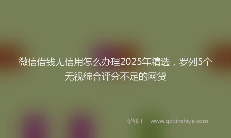 微信借钱无信用怎么办理2025年精选，罗列5个无视综合评分不足的网贷