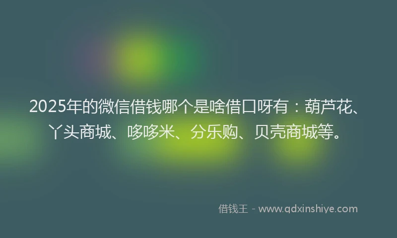 2025年的微信借钱哪个是啥借口呀有：葫芦花、丫头商城、哆哆米、分乐购、贝壳商城等。