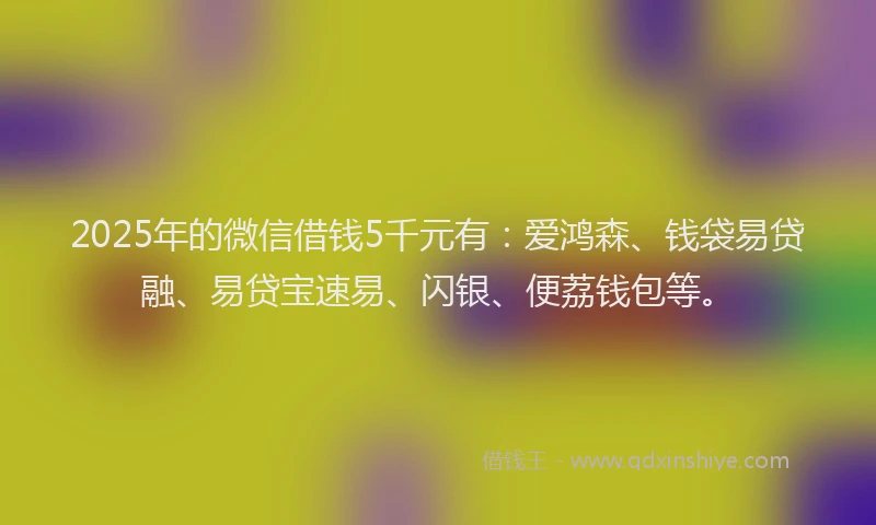 2025年的微信借钱5千元有：爱鸿森、钱袋易贷融、易贷宝速易、闪银、便荔钱包等。