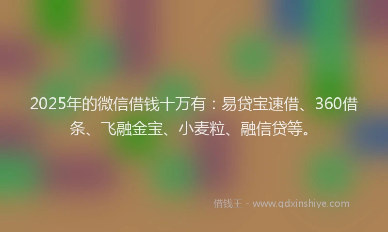 2025年的微信借钱十万有：易贷宝速借、360借条、飞融金宝、小麦粒、融信贷等。