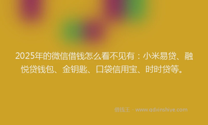 2025年的微信借钱怎么看不见有：小米易贷、融悦贷钱包、金钥匙、口袋信用宝、时时贷等。