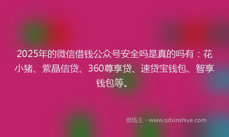 2025年的微信借钱公众号安全吗是真的吗有：花小猪、紫晶信贷、360尊享贷、速贷宝钱包、智享钱包等。