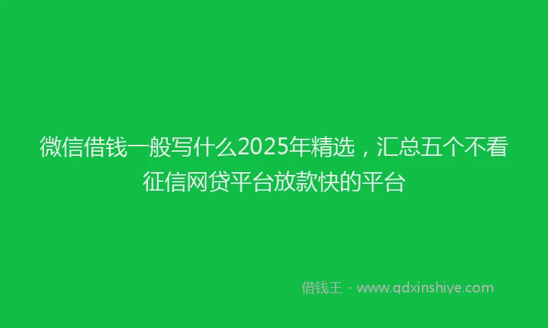 微信借钱一般写什么2025年精选，汇总五个不看征信网贷平台放款快的平台