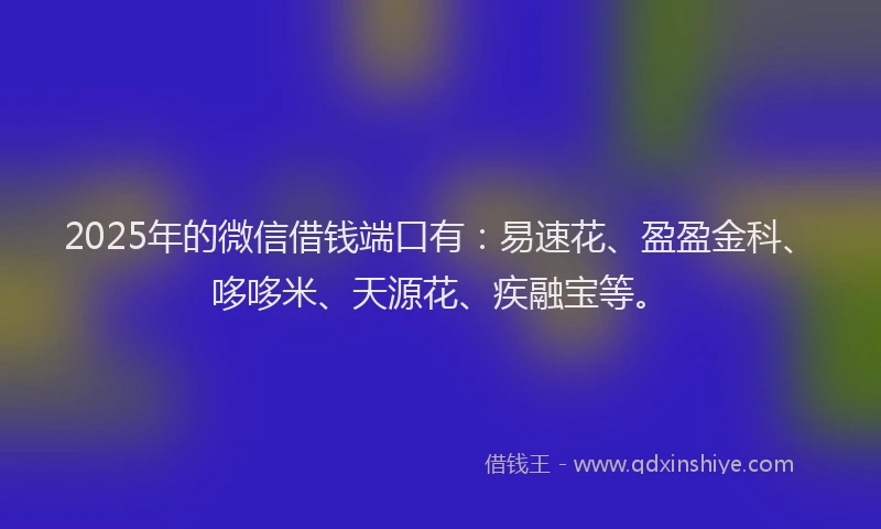 2025年的微信借钱端口有：易速花、盈盈金科、哆哆米、天源花、疾融宝等。