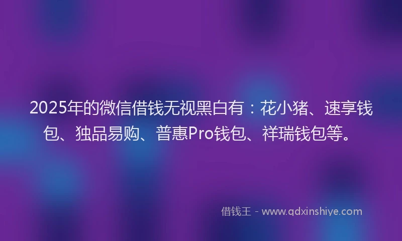 2025年的微信借钱无视黑白有：花小猪、速享钱包、独品易购、普惠Pro钱包、祥瑞钱包等。