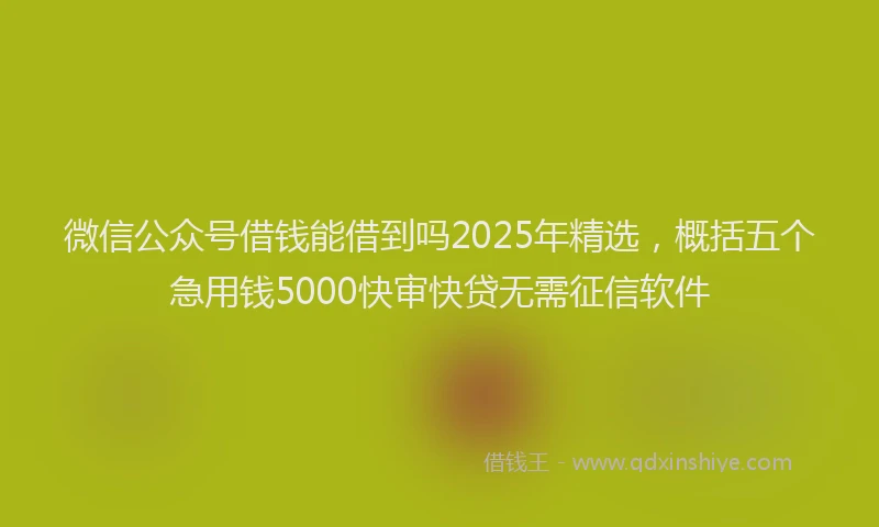 微信公众号借钱能借到吗2025年精选，概括五个急用钱5000快审快贷无需征信软件