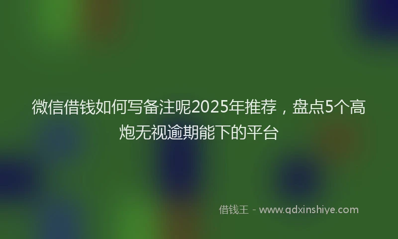 微信借钱如何写备注呢2025年推荐，盘点5个高炮无视逾期能下的平台