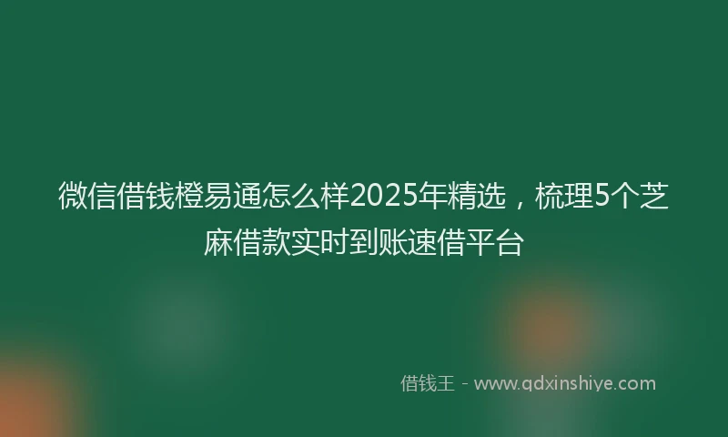 微信借钱橙易通怎么样2025年精选，梳理5个芝麻借款实时到账速借平台