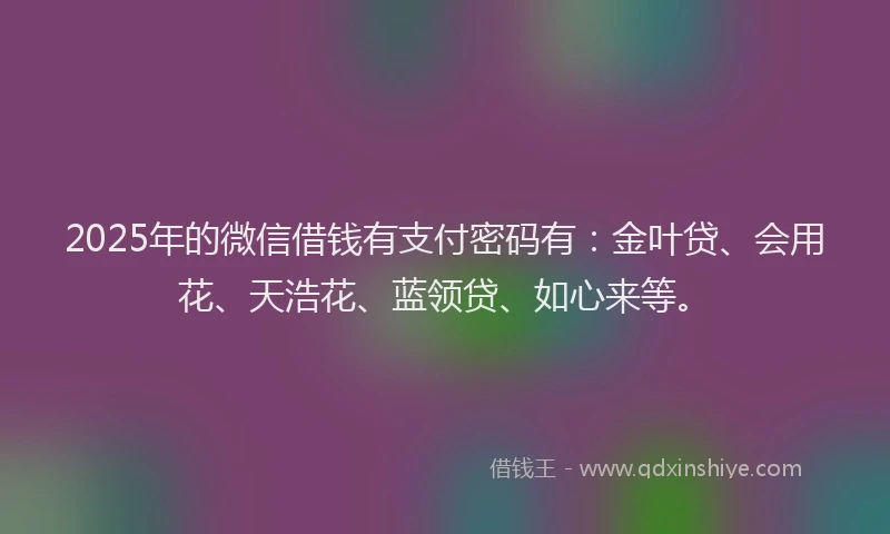 2025年的微信借钱有支付密码有:金叶贷、会用花、天浩花、蓝领贷、如心来等。