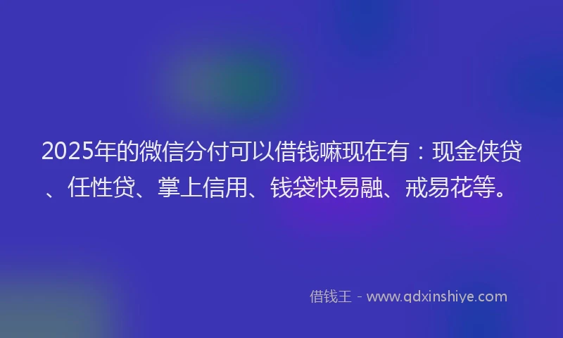 2025年的微信分付可以借钱嘛现在有：现金侠贷、任性贷、掌上信用、钱袋快易融、戒易花等。
