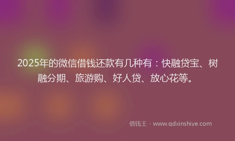 2025年的微信借钱还款有几种有：快融贷宝、树融分期、旅游购、好人贷、放心花等。