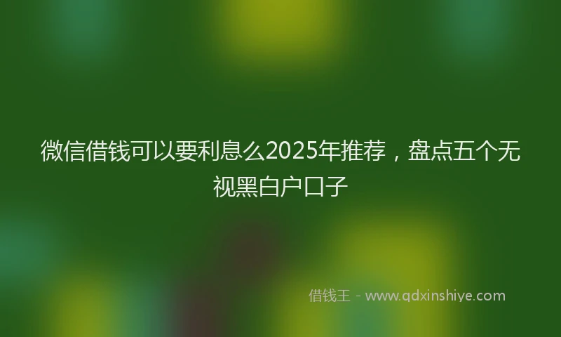 微信借钱可以要利息么2025年推荐，盘点五个无视黑白户口子