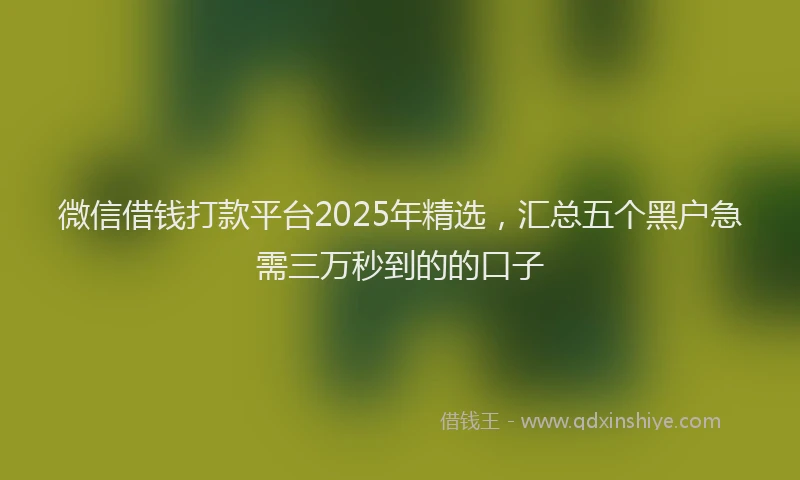 微信借钱打款平台2025年精选，汇总五个黑户急需三万秒到的的口子