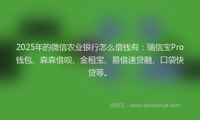 2025年的微信农业银行怎么借钱有:瑞信宝Pro钱包、森森借呗、金租宝、易借速贷融、口袋快贷等。