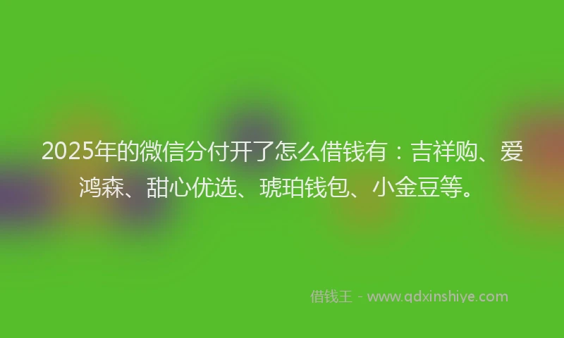 2025年的微信分付开了怎么借钱有：吉祥购、爱鸿森、甜心优选、琥珀钱包、小金豆等。