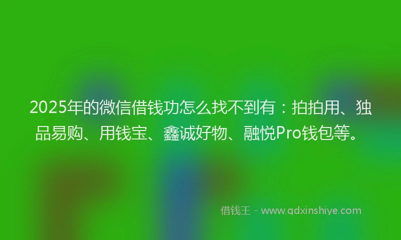 2025年的微信借钱功怎么找不到有：拍拍用、独品易购、用钱宝、鑫诚好物、融悦Pro钱包等。