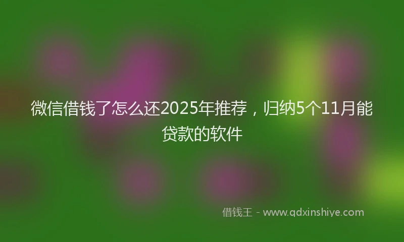 微信借钱了怎么还2025年推荐，归纳5个11月能贷款的软件