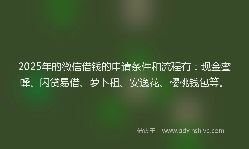 2025年的微信借钱的申请条件和流程有：现金蜜蜂、闪贷易借、萝卜租、安逸花、樱桃钱包等。