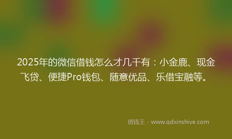 2025年的微信借钱怎么才几千有：小金鹿、现金飞贷、便捷Pro钱包、随意优品、乐借宝融等。