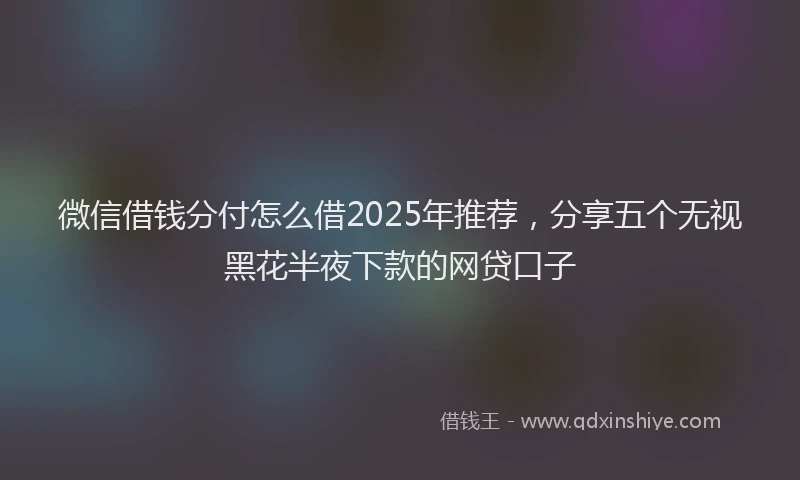 微信借钱分付怎么借2025年推荐，分享五个无视黑花半夜下款的网贷口子