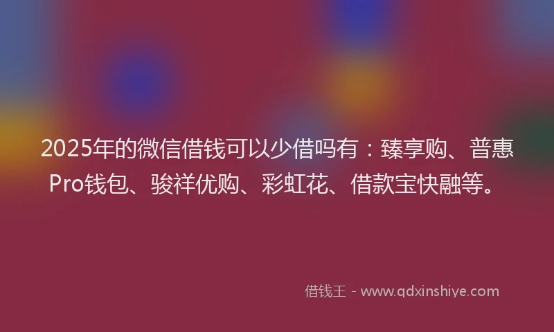 2025年的微信借钱可以少借吗有：臻享购、普惠Pro钱包、骏祥优购、彩虹花、借款宝快融等。