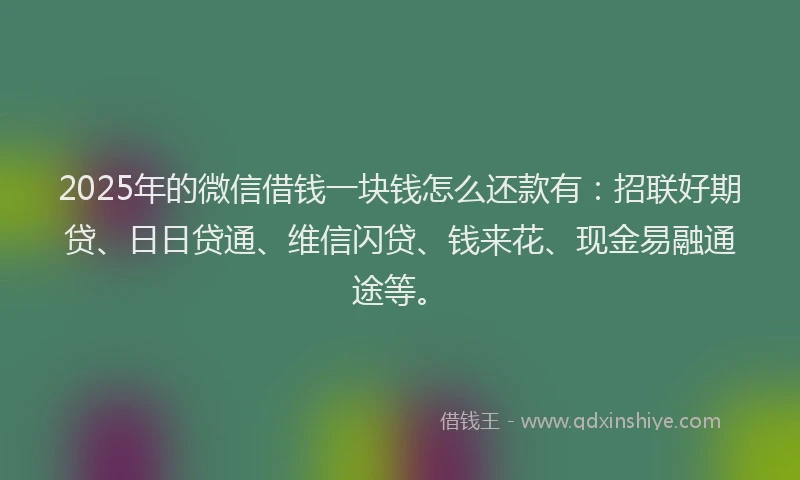 2025年的微信借钱一块钱怎么还款有：招联好期贷、日日贷通、维信闪贷、钱来花、现金易融通途等。